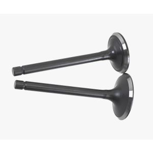 Комплект клапанов бензинового двигателя G420F