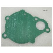 Прокладка насоса водяного TDR-K 22, 25 4L/Water pump gasket