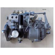 Насос топливный высокого давления Ricardo K4100ZDS; TDK 42 4LТ/Fuel Injection pump subassy (495ZD -13100)